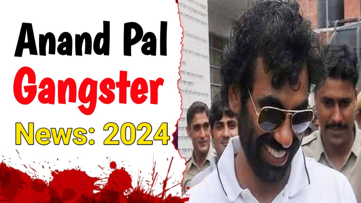 Anand Pal Gangster Latest News 2024: News related to Anand Pal Rajasthan Gangster