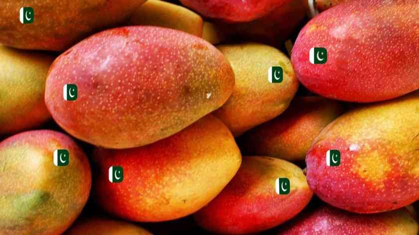 Pakistan Mango Diplomacy